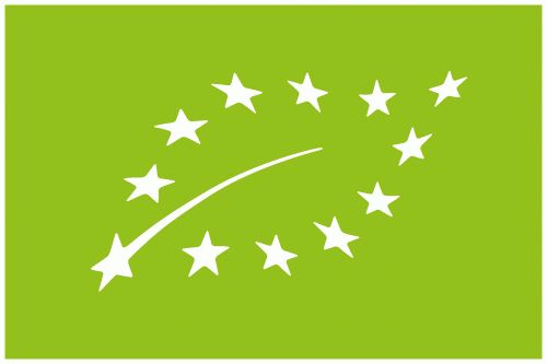 EU Logo