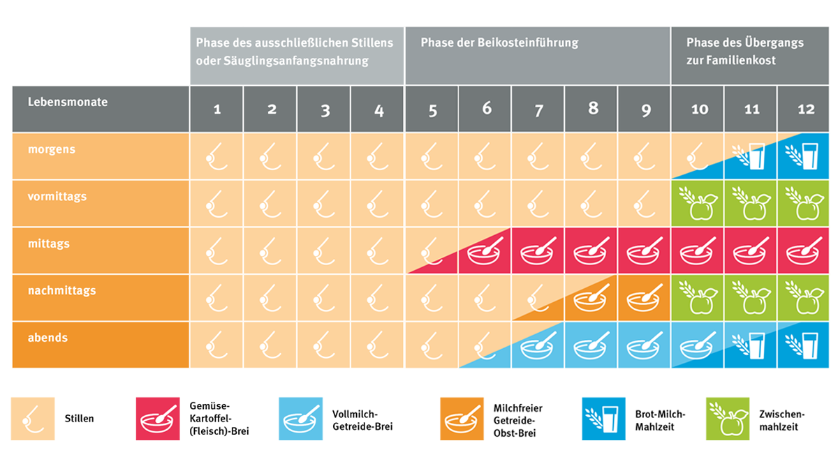 Tabelle zeigt drei Phasen der ersten 12 Lebensmonate: 1-4 ausschließliches Stillen, 5-9 Phase der Beikost, 10-12 Phase des Übergangs zur Familienkost.