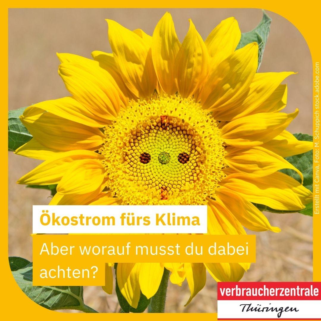 Eine Sonnenblume als Steckdose. Dazu der Text: Ökostrom fürs Klima. Aber worauf musst du dabei achten?