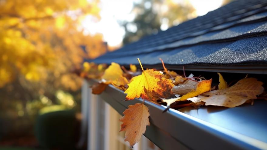Buntes Herbstlaub liegt in einer Dachrinne.