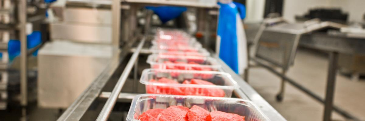 Maschinelle Herstellung von Fleisch: Im Vordergrund läuft ein Fließband mit fertigen Packungen.