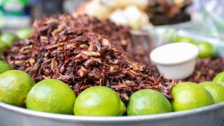 Ein Teller mit Früchten und gebratenen Grashüpfern.