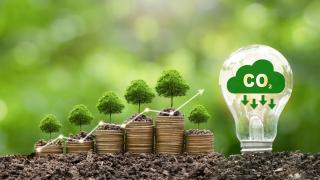 Glühbirne und Baum, die auf einem Münzstapel mit digitalem Wachstumsdiagramm wachsen.