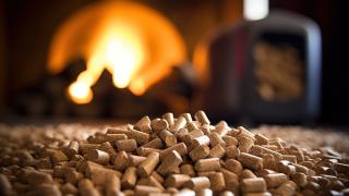 Holzpellets liegen vor einem Kamin.